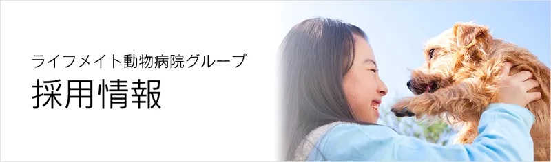 採用情報