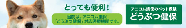 アニコム損保「どうぶつ健保」